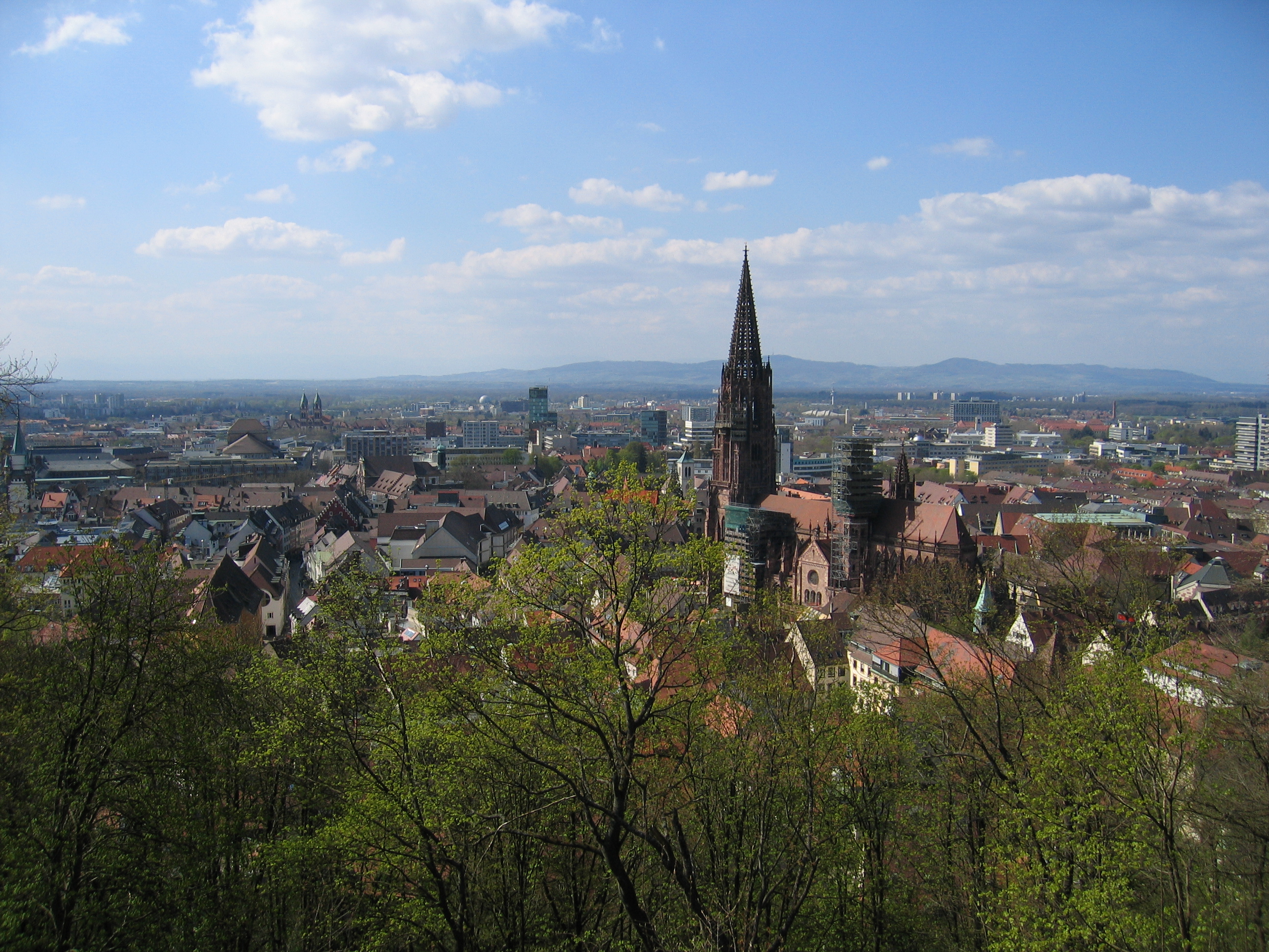 Stadtansicht_Freiburg im Breisgau