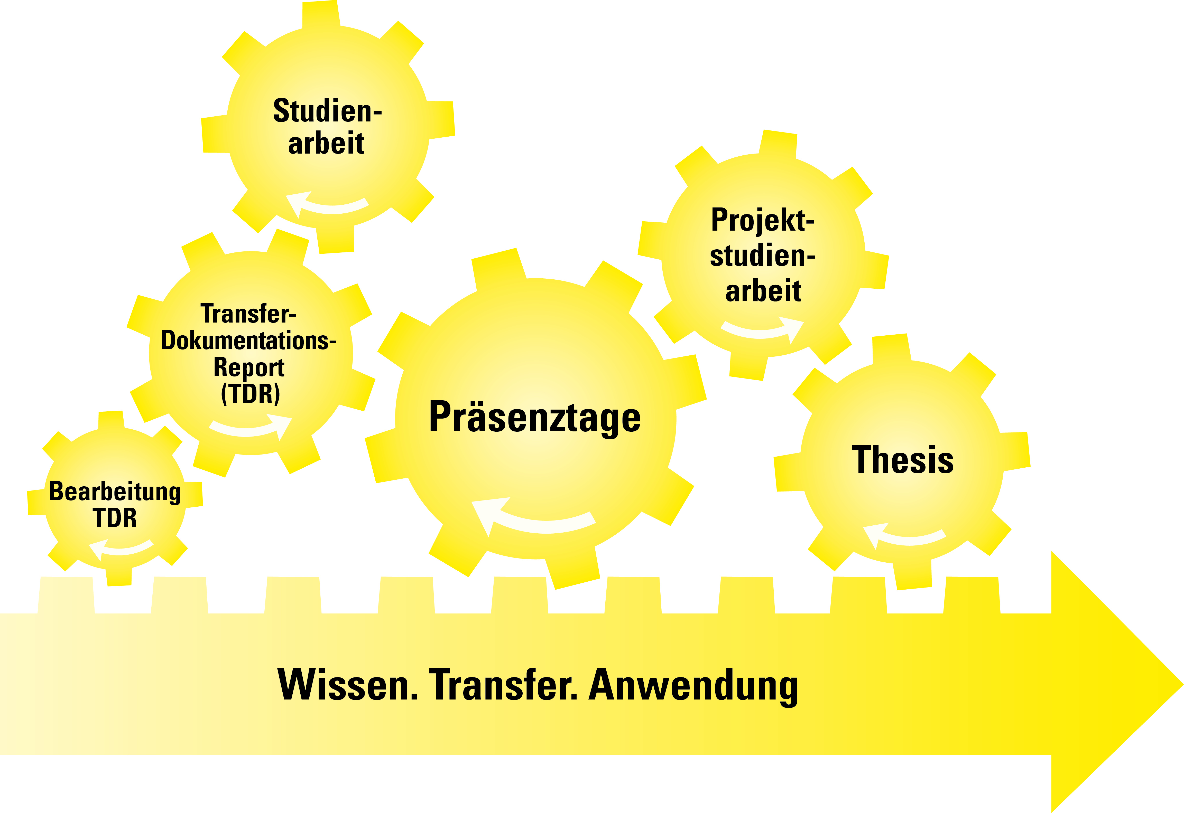 Projekt-Kompetenz-Studium
